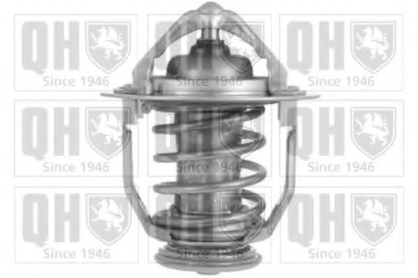 Termostat lichid racire