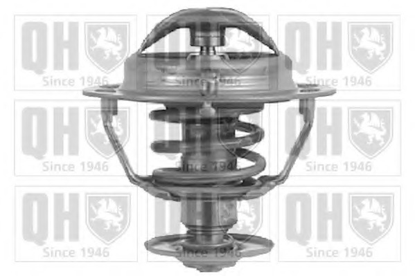 Termostat lichid racire