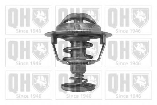 Termostat lichid racire