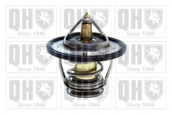 Termostat lichid racire