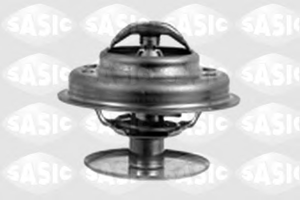 Termostat lichid racire