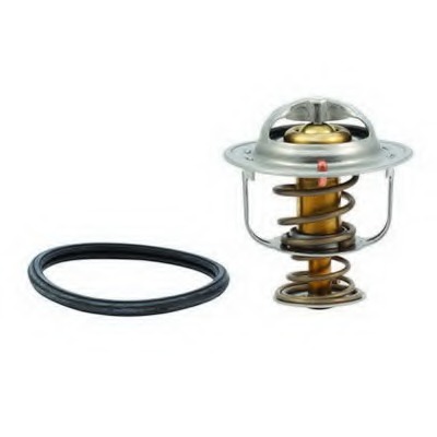 Termostat lichid racire