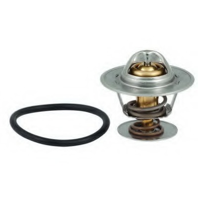 Termostat lichid racire