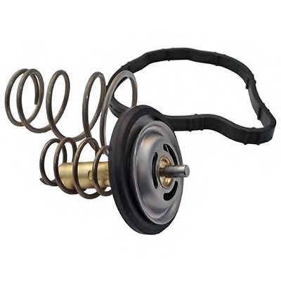 Termostat lichid racire