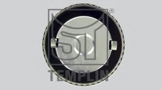 Buson rezervor de combustibil