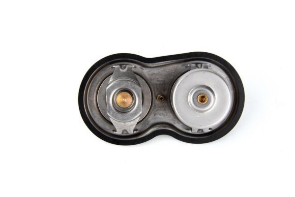 Termostat lichid racire