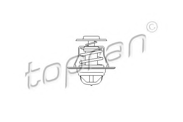 Termostat lichid racire