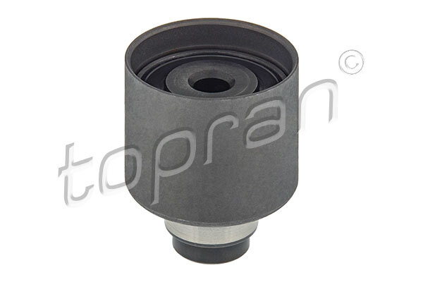 Rola ghidare / conducere curea distributie