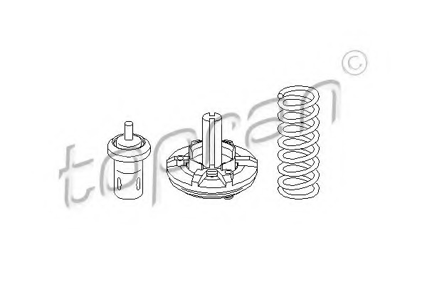Termostat lichid racire