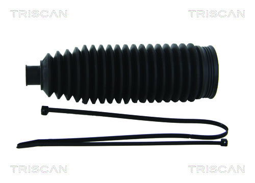 Ansamblu burduf directie