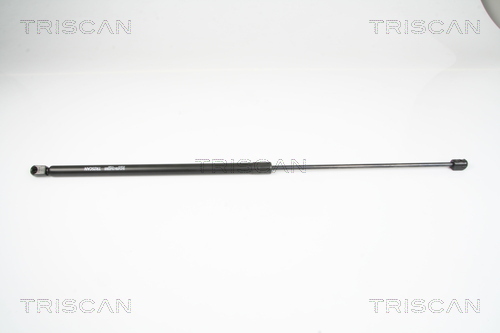 Suspensie pneumatica clapeta fata