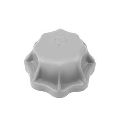 Buson vas expansiune