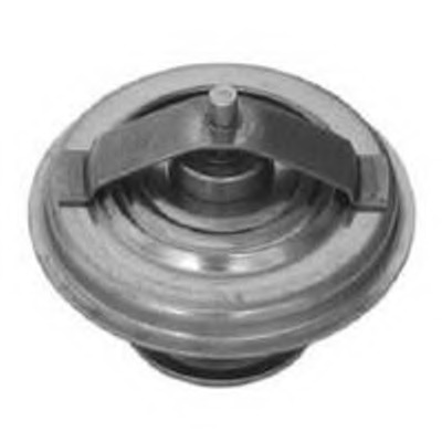 Termostat lichid racire