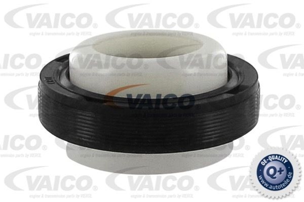 Simering arbore cotit