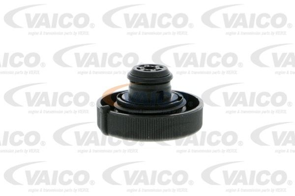 Buson vas expansiune