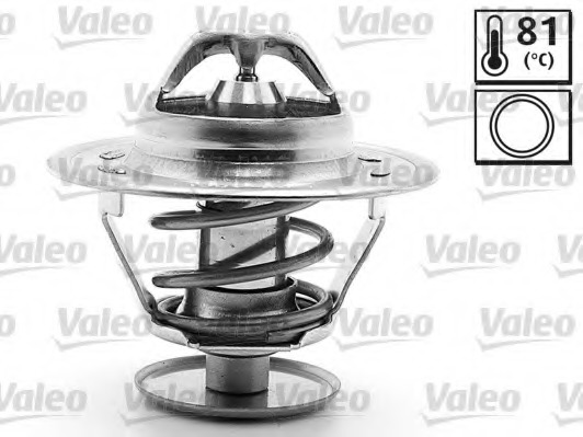 Termostat lichid racire