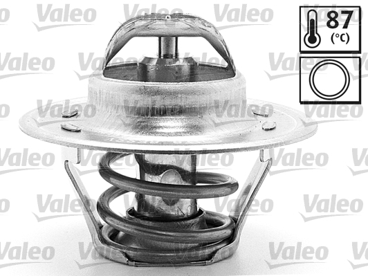 Termostat lichid racire