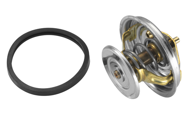 Termostat lichid racire