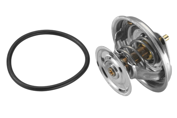 Termostat lichid racire